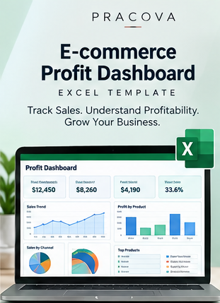E-commerce Profit Dashboard— Excel Template